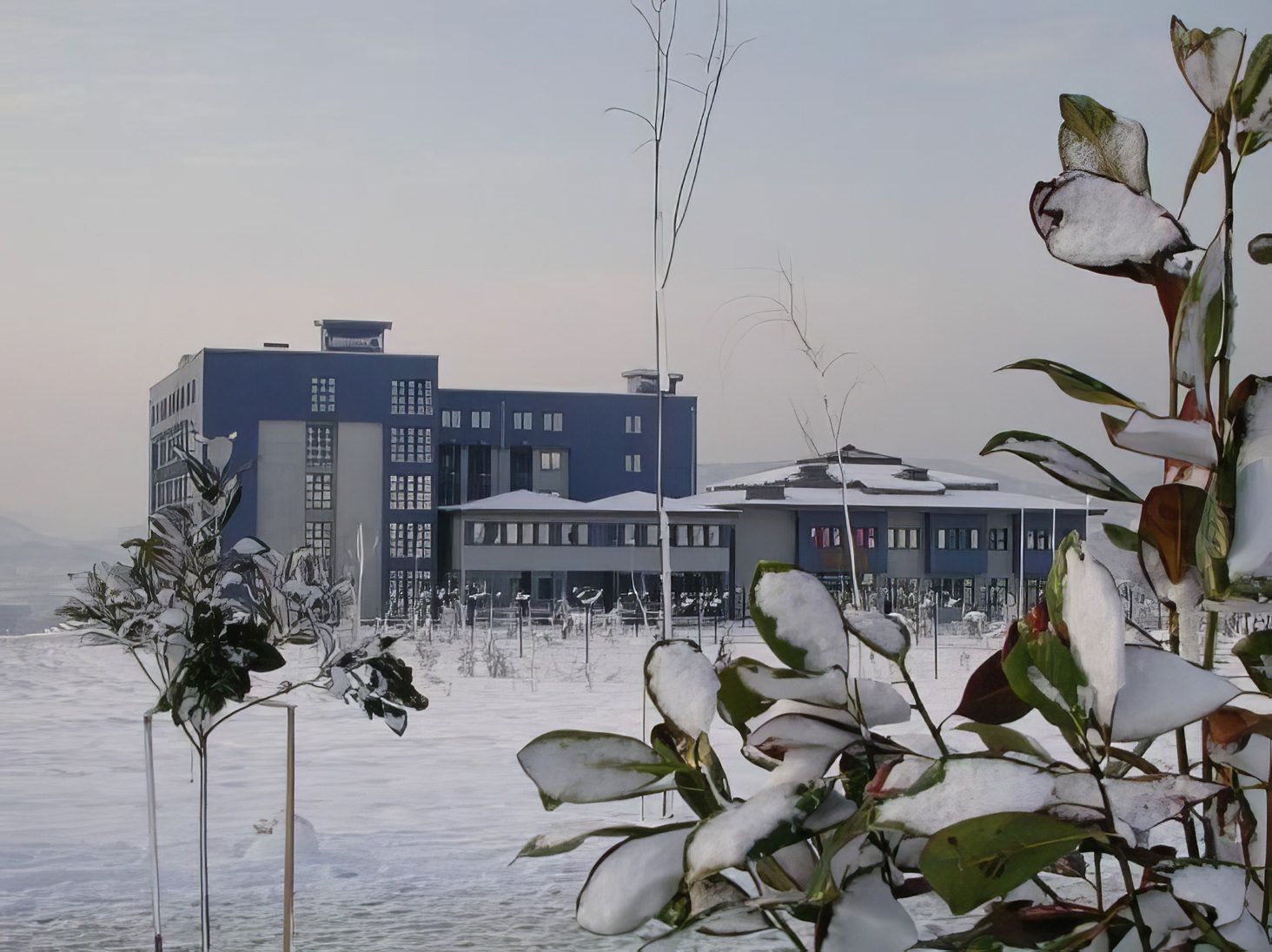 Sakarya Üniversitesi Rektörlük Binası İkmal İnşaatı